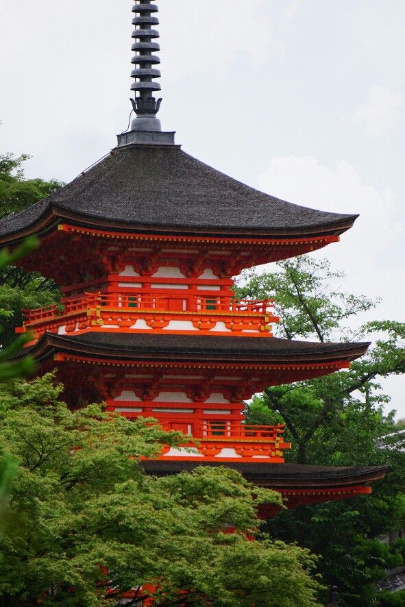 Filosofi Hidup Orang Jepang: Dari Bushido hingga Wabi-Sabi